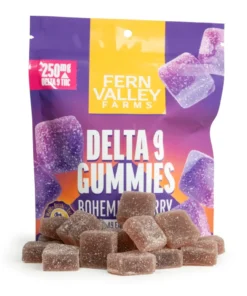 Alternative view of Mushroom-Infused Delta 9 Gummies | 10mg THC/1mg CBD