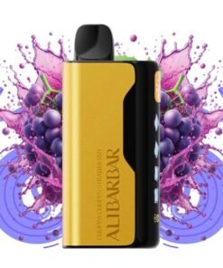 Hubba Bubba Grape – ICE ADJUST 12000