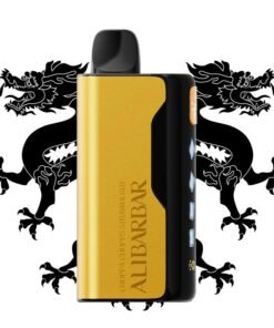 Alternative view of Black Dragon – ICE ADJUST 12000