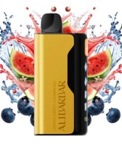 Blueberry Watermelon – ICE ADJUST 12000