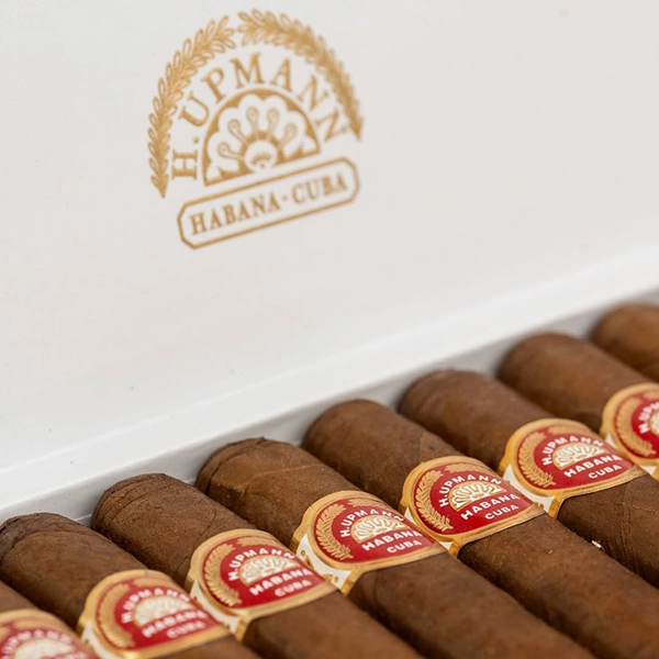 H. Upmann Magnum 52 The Year Of The Tiger Cigar - Image 3