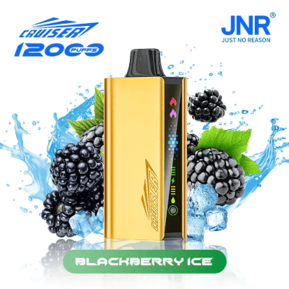 Blackberry Ice – JNR CRUISER 12000 PUFFS - Image 2