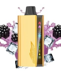 Blackberry Ice – JNR CRUISER 12000 PUFFS