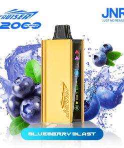 Alternative view of Blueberry Blast – JNR CRUISER 12000 PUFFS