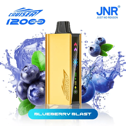 Blueberry Blast – JNR CRUISER 12000 PUFFS - Image 2