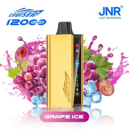 Grape Ice – JNR CRUISER 12000 PUFFS - Image 2